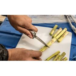 Leatherman Outil multifonction CURL™ - Image 7