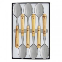 Coffret 6 cuillers table