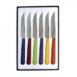 Coffret 6 couteaux table...