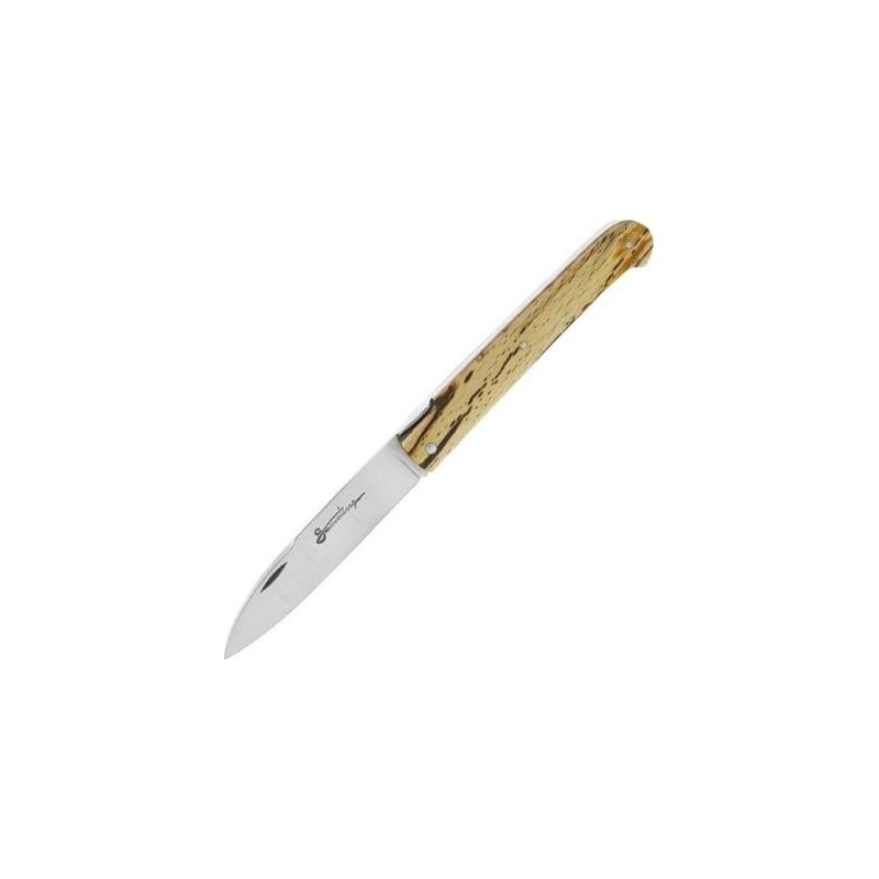 Sauveterre Couteau plein manche hetre 11cm inox