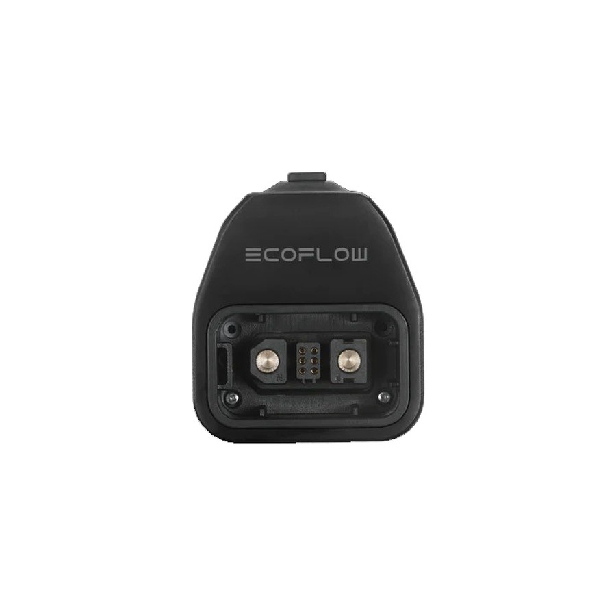 EcoFlow Adaptateur Delta Pro vers Smart Genérateur
