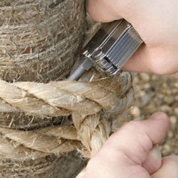 SOG C-4 spike - Image 2