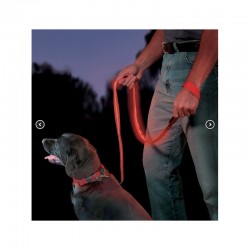 Nite Ize Lot de 2 NiteDawg Laisse Lumineuse pour Chiens - Image 3