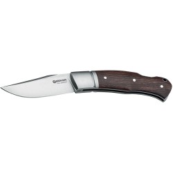 Desert ironwood