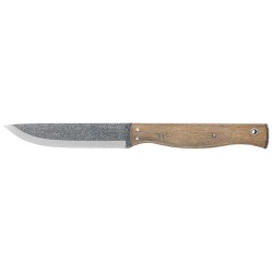 Condor Narrowsaur - Image 4