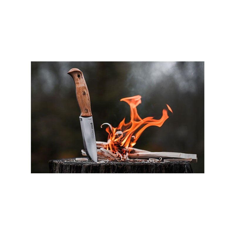 Helle Nordlys