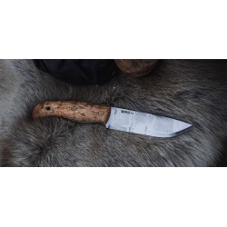 Nord sleipner