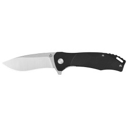 Qsp Raven - Image 2