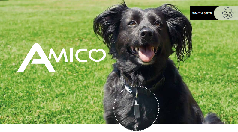 Amico (En option)